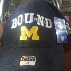 Michigan Bowl Bound Allstate Sugarbowl